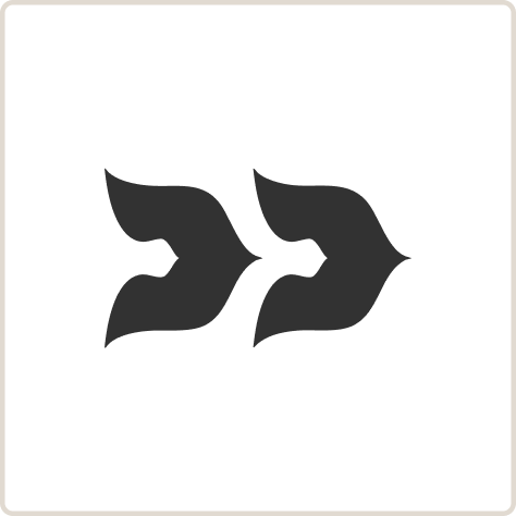 Version 19 mark