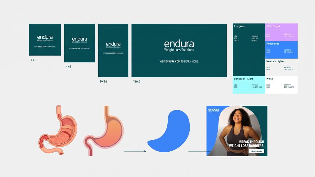 Endura visual identity built around an organic stomach-inspired shape