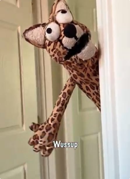 Saucy Spoon TikTok video